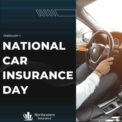 national car insurance day albany ny